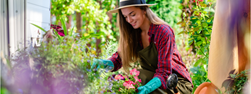 3 Ways to Help Your Garden Thrive During the Warmer Months | TEG